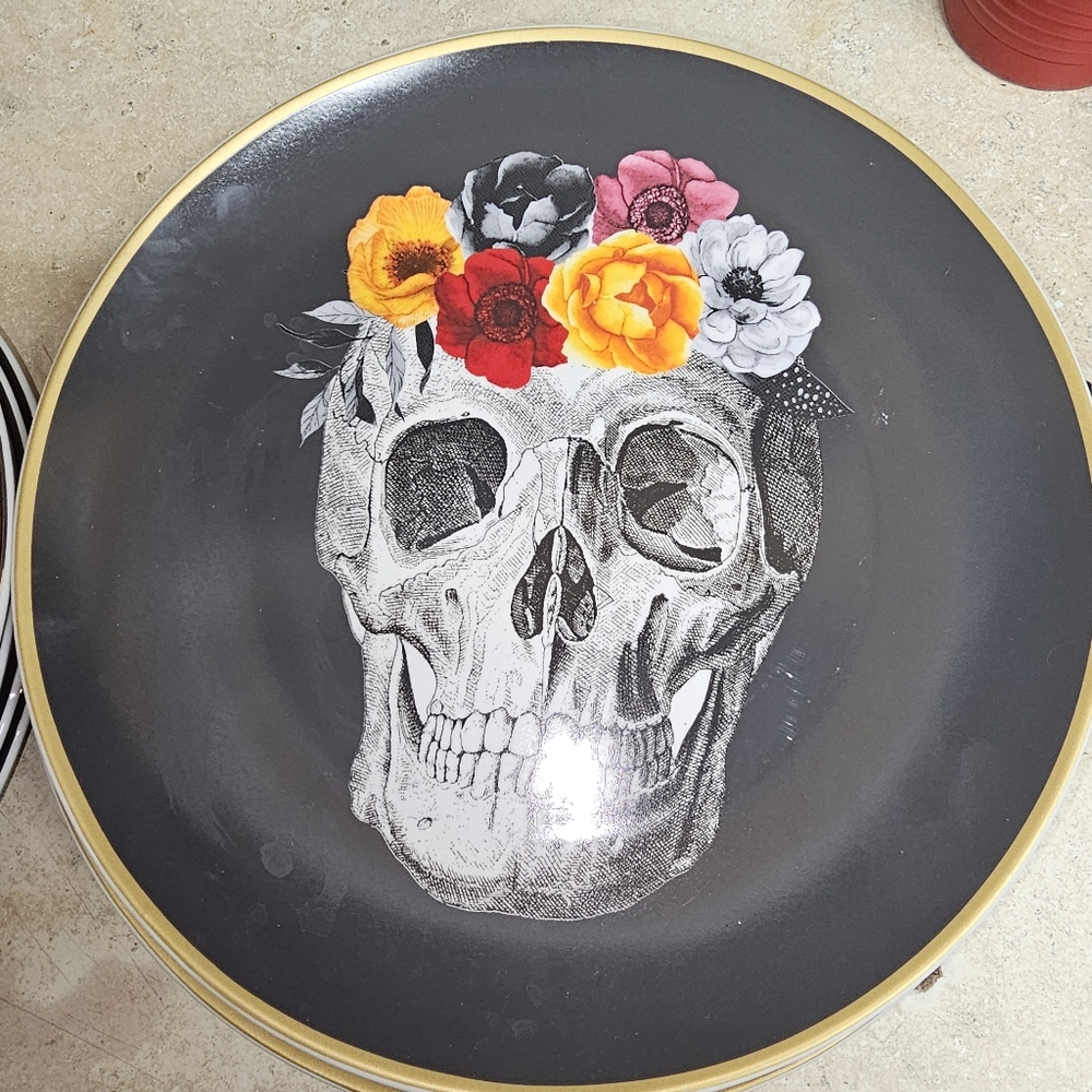 Dinner plates